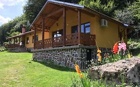 Бунгала Дара