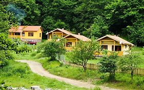 Бунгала Дара